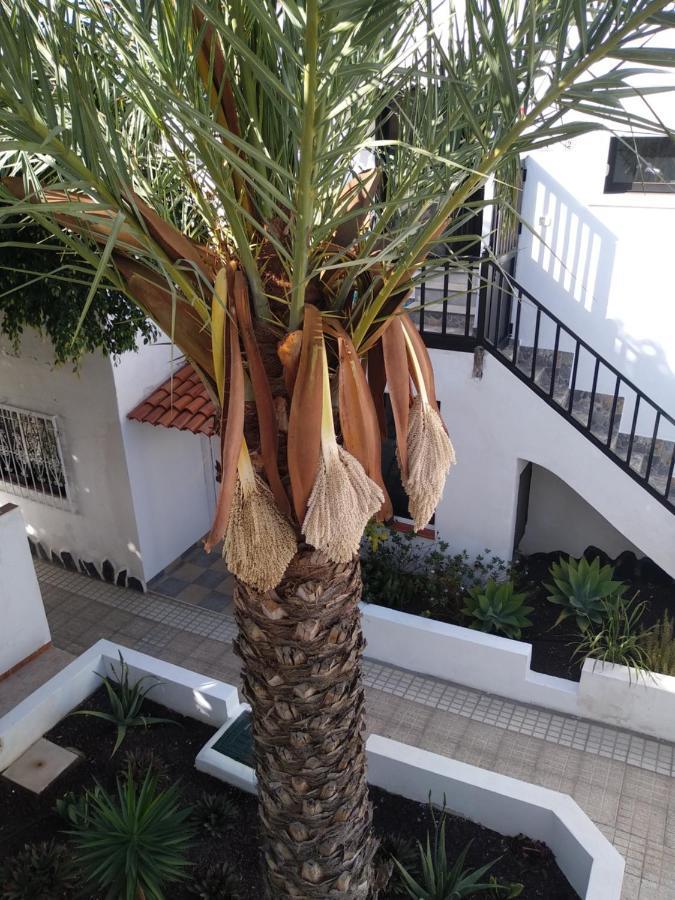 Apartamento Ama Tenerife Grande Terraza Arona  Exterior photo