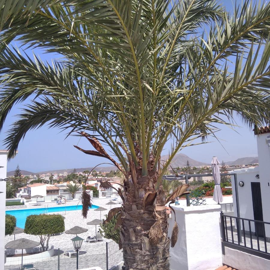 Apartamento Ama Tenerife Grande Terraza Arona  Exterior photo
